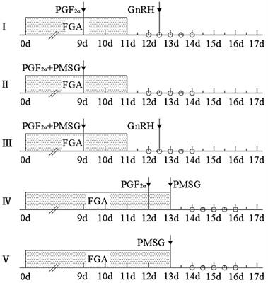 Comparison of Five Protocols of Estrous Synchronization on Reproductive Performance of Hu Sheep